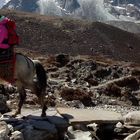 Horseback Riding Trek to Everest Base Camp: Everything you need to know the epic journey
